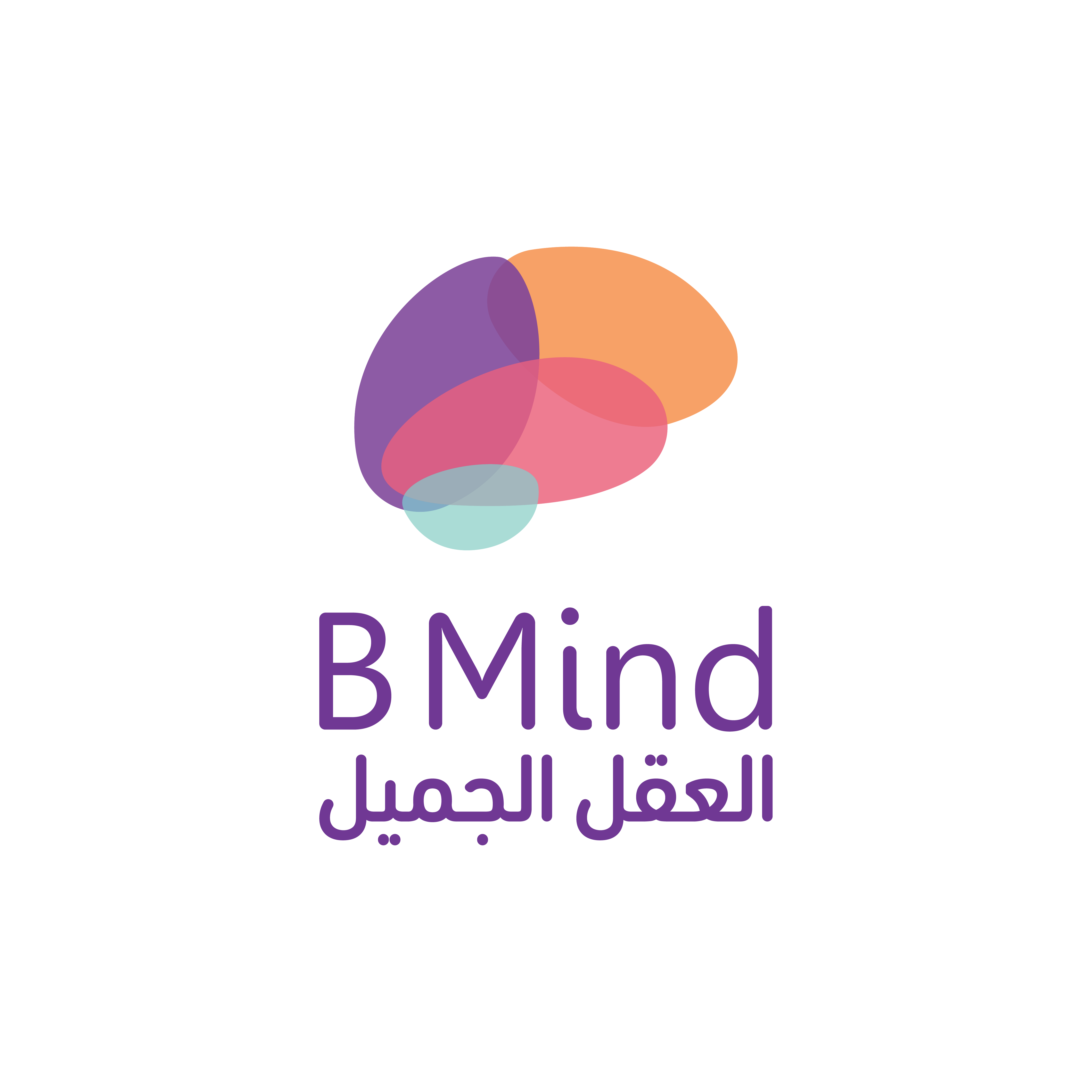 شركة العقل الجميل
