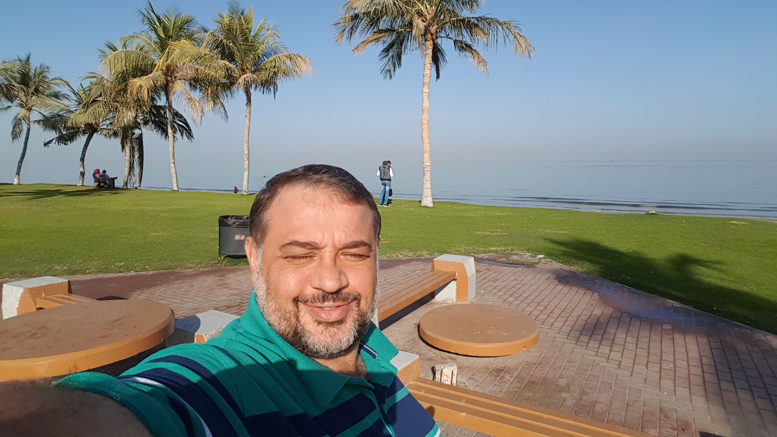 حمزه محمد الحمزاوي